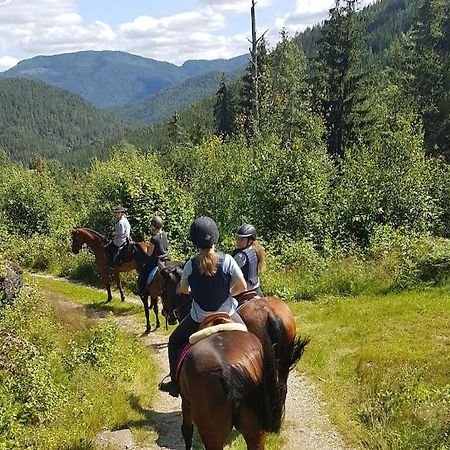 River Run Ranch - Telemark Drangedal Екстер'єр фото
