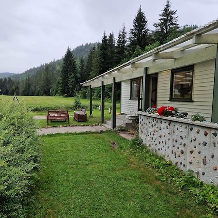 River Run Ranch - Telemark Drangedal Екстер'єр фото