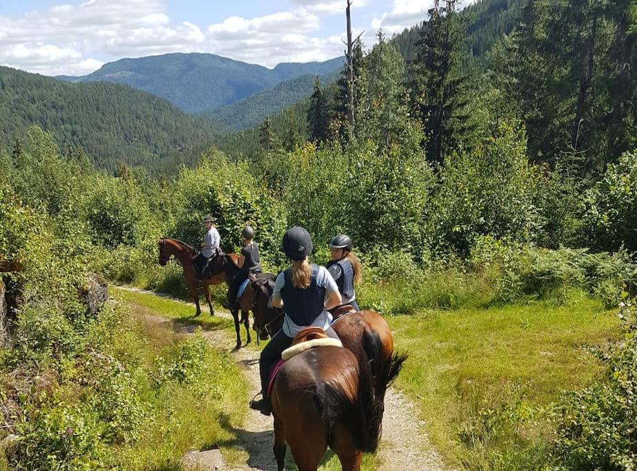 River Run Ranch - Telemark Drangedal Екстер'єр фото