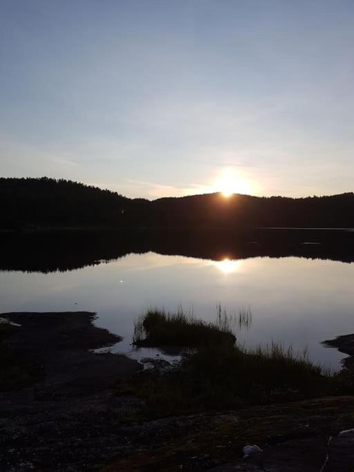 River Run Ranch - Telemark Drangedal Екстер'єр фото