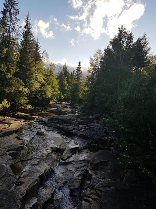 River Run Ranch - Telemark Drangedal Екстер'єр фото