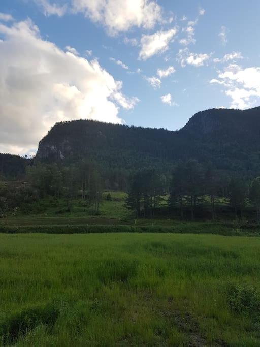 River Run Ranch - Telemark Drangedal Екстер'єр фото