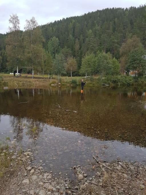 River Run Ranch - Telemark Drangedal Екстер'єр фото