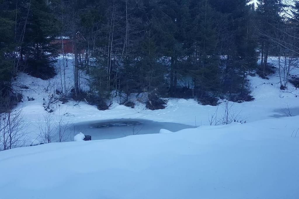 River Run Ranch - Telemark Drangedal Екстер'єр фото