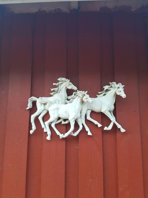River Run Ranch - Telemark Drangedal Екстер'єр фото