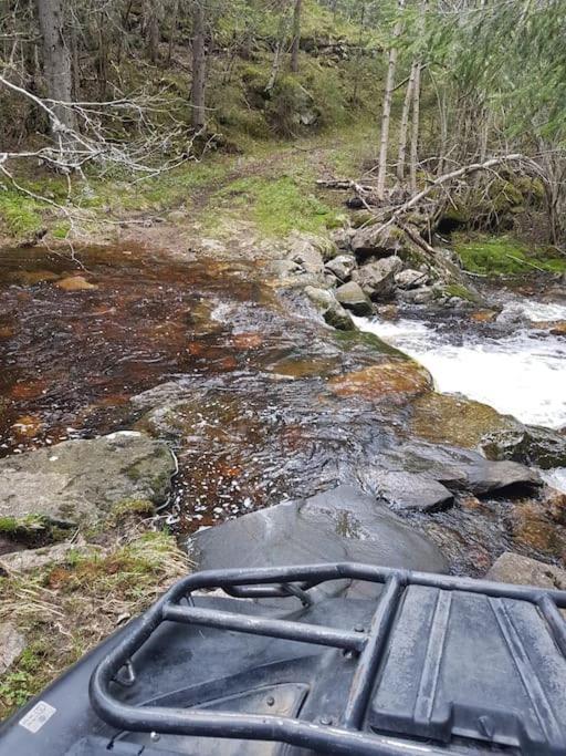 River Run Ranch - Telemark Drangedal Екстер'єр фото