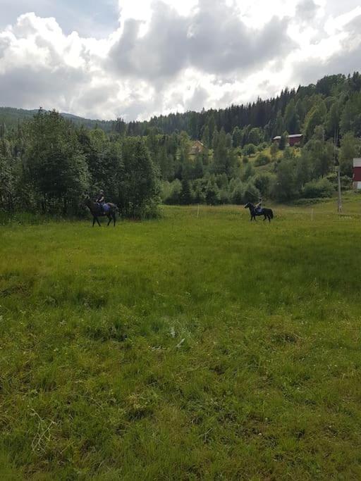 River Run Ranch - Telemark Drangedal Екстер'єр фото