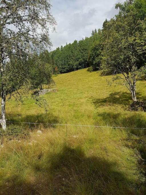 River Run Ranch - Telemark Drangedal Екстер'єр фото