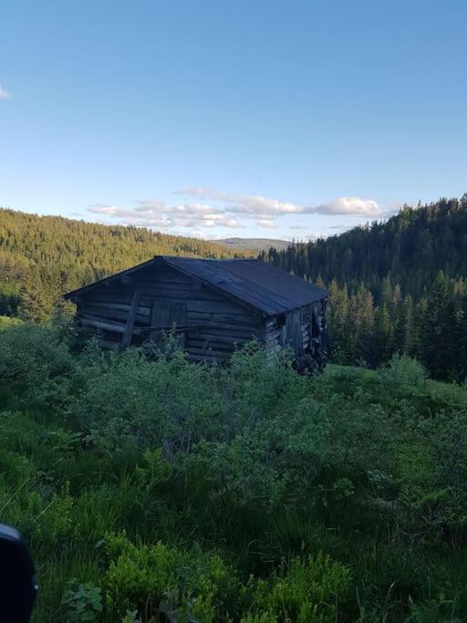 River Run Ranch - Telemark Drangedal Екстер'єр фото
