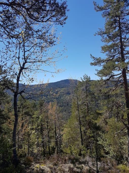 River Run Ranch - Telemark Drangedal Екстер'єр фото