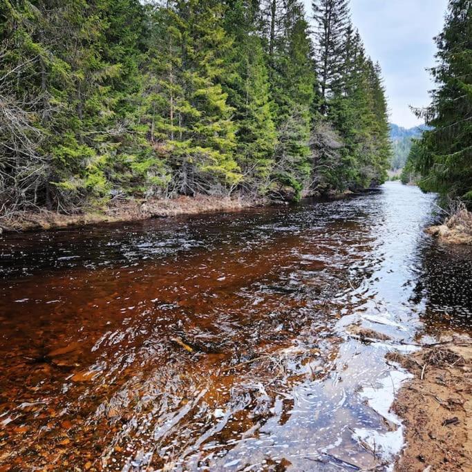 River Run Ranch - Telemark Drangedal Екстер'єр фото