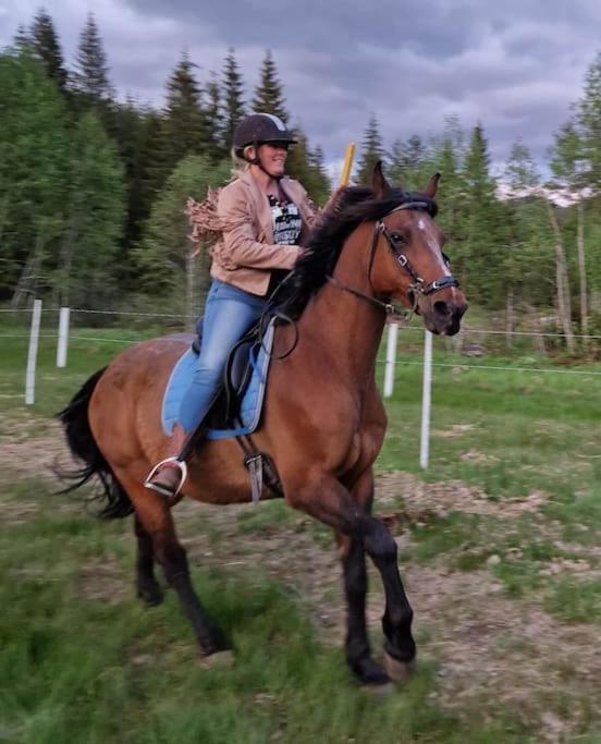 River Run Ranch - Telemark Drangedal Екстер'єр фото