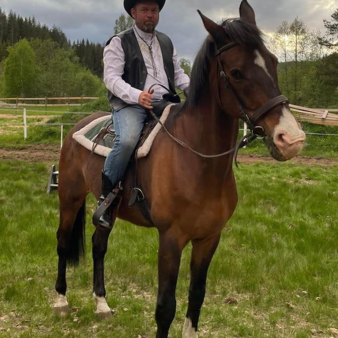 River Run Ranch - Telemark Drangedal Екстер'єр фото