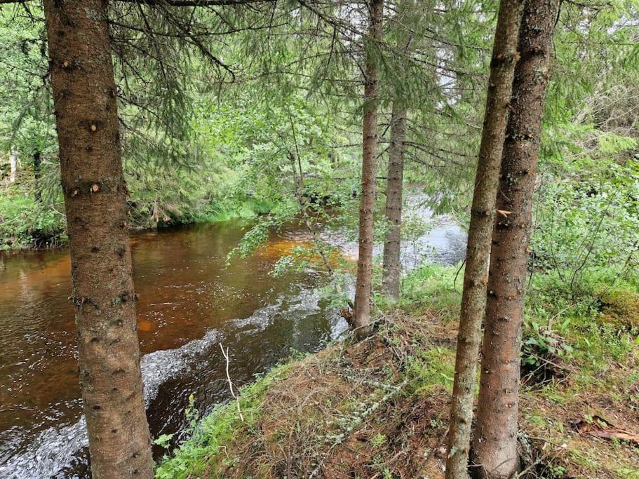 River Run Ranch - Telemark Drangedal Екстер'єр фото