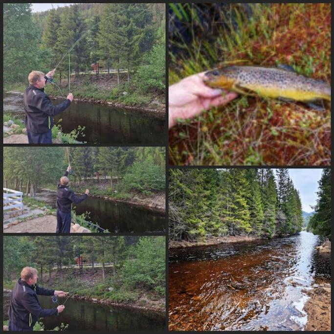River Run Ranch - Telemark Drangedal Екстер'єр фото