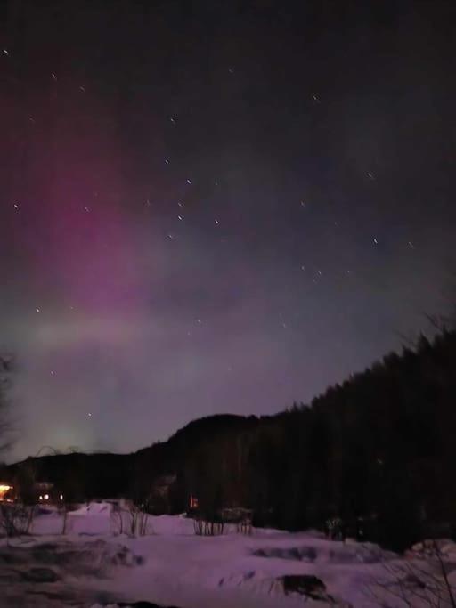 River Run Ranch - Telemark Drangedal Екстер'єр фото