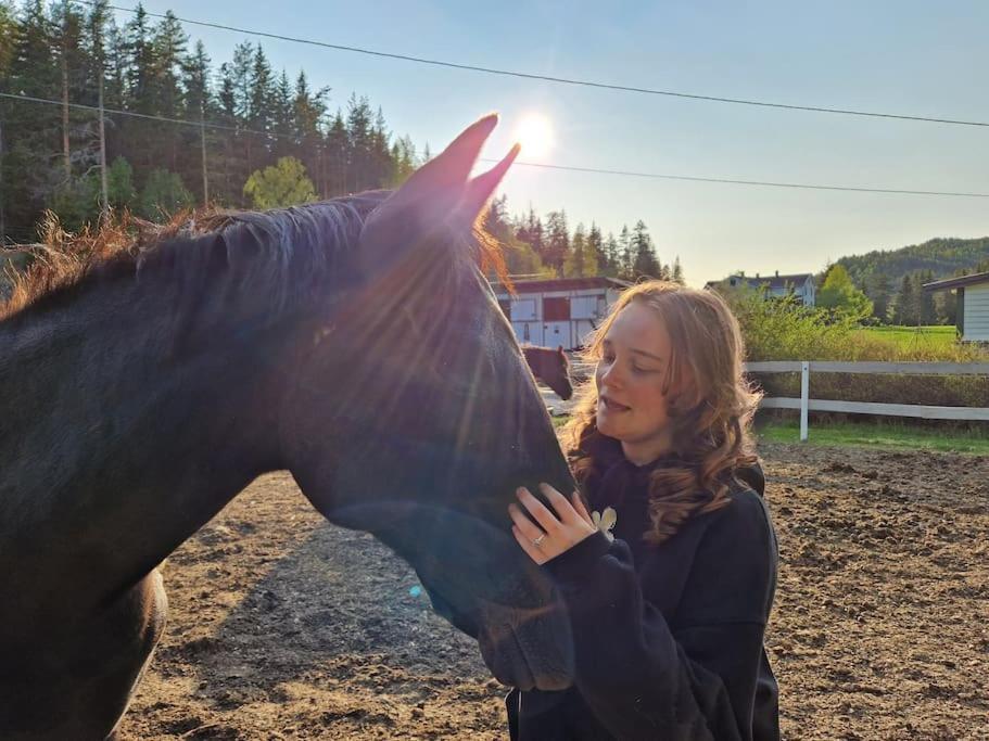 River Run Ranch - Telemark Drangedal Екстер'єр фото